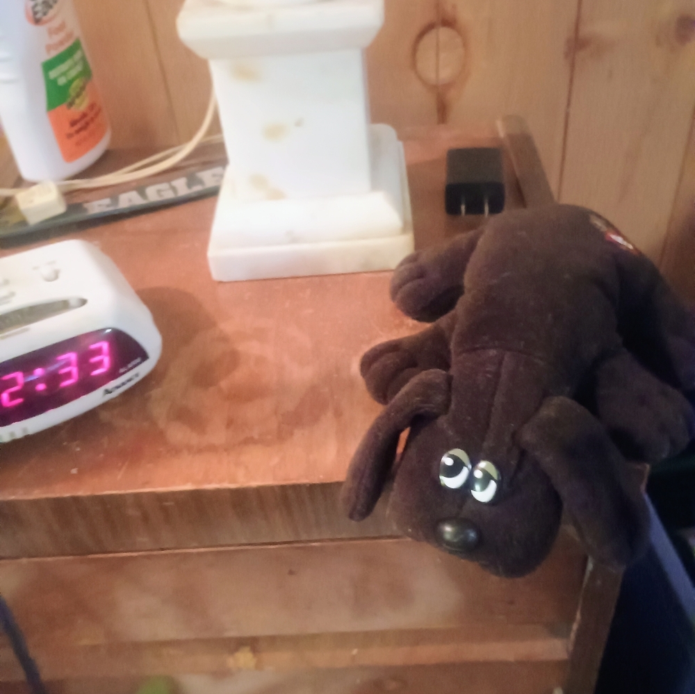 Miniature Pound Puppy